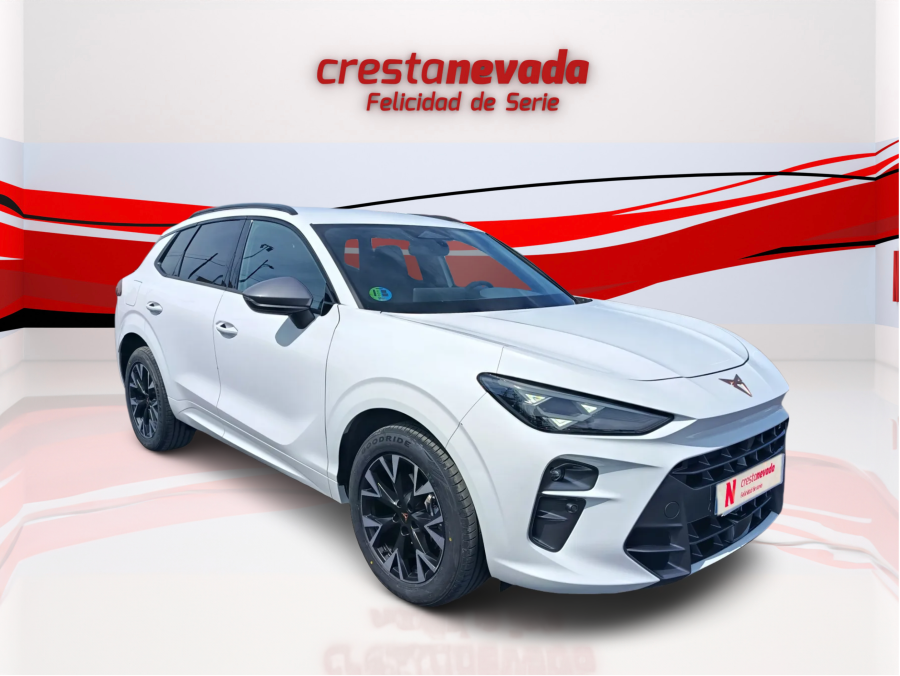 Imagen de cupra Terramar