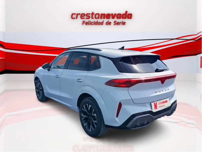 Imagen de cupra Terramar
