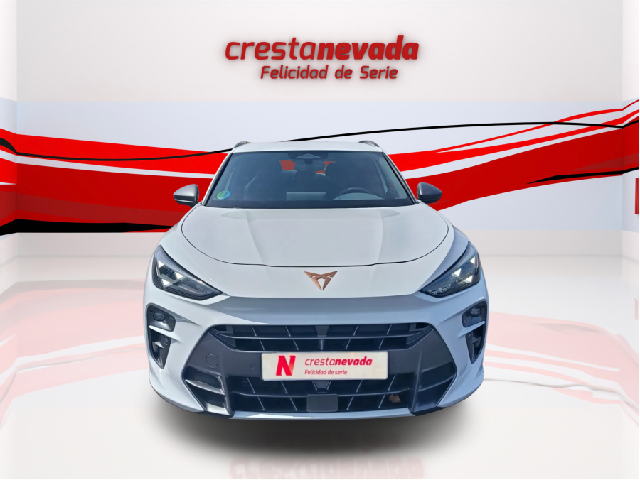 Imagen de cupra Terramar
