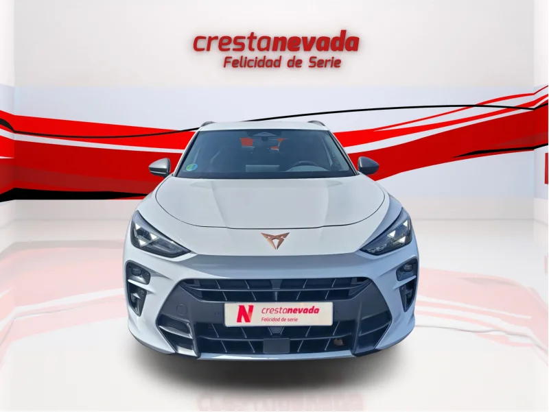 Imagen de cupra Terramar