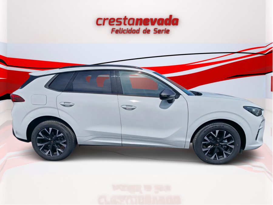 Imagen de cupra Terramar