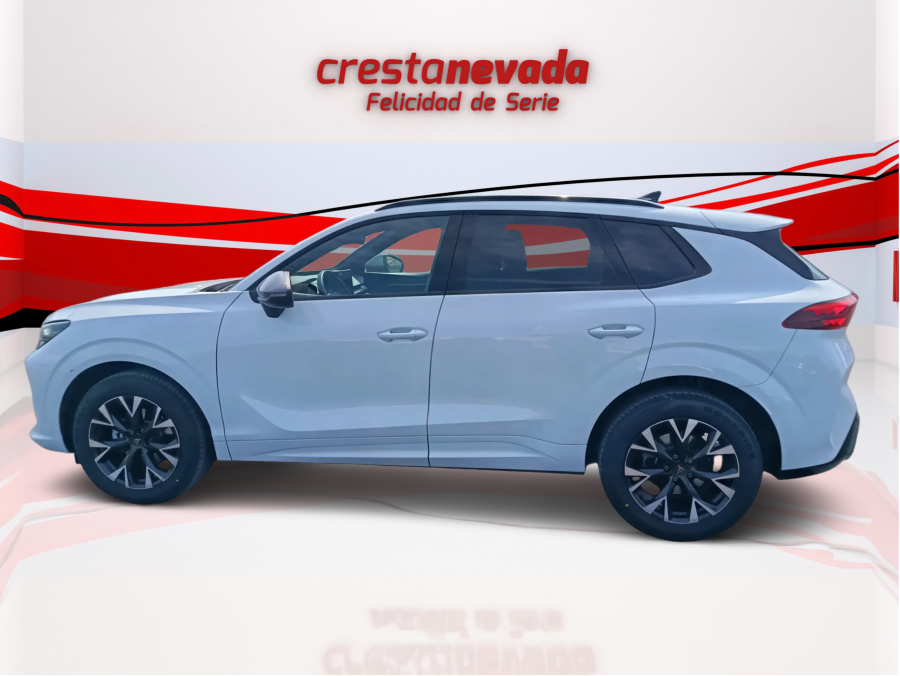 Imagen de cupra Terramar