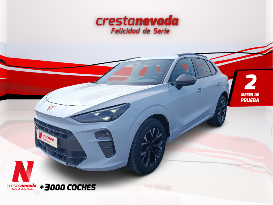 Imagen de cupra Terramar