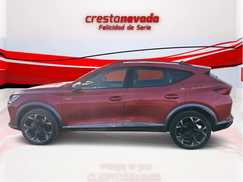 Imagen de cupra Formentor