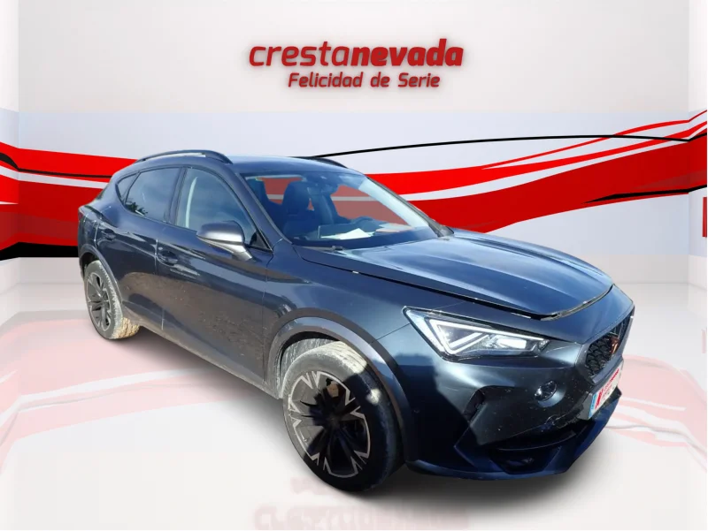 Imagen de cupra Formentor