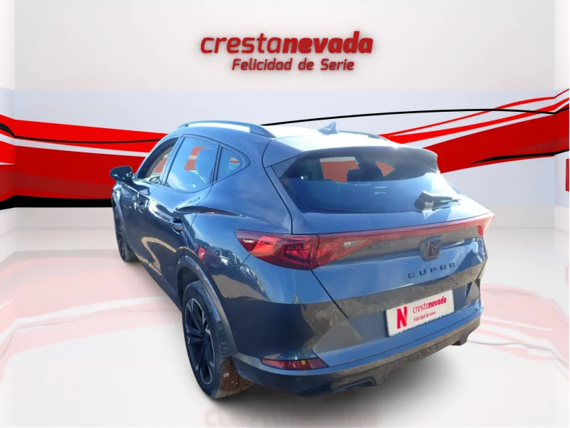 Imagen de cupra Formentor