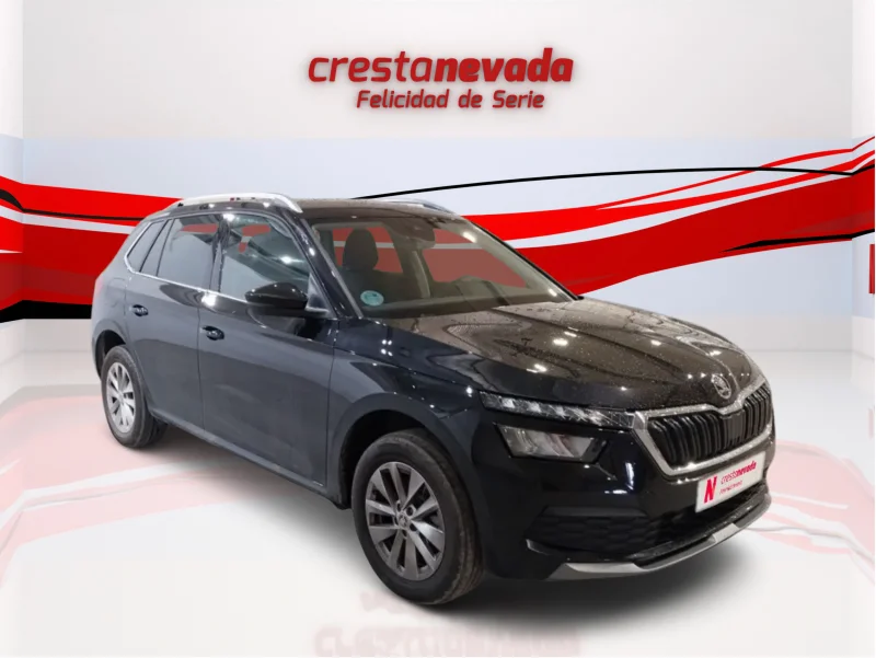 Imagen de Skoda Kamiq