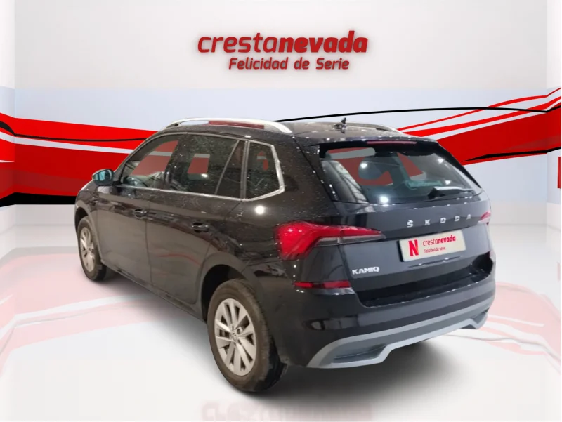 Imagen de Skoda Kamiq