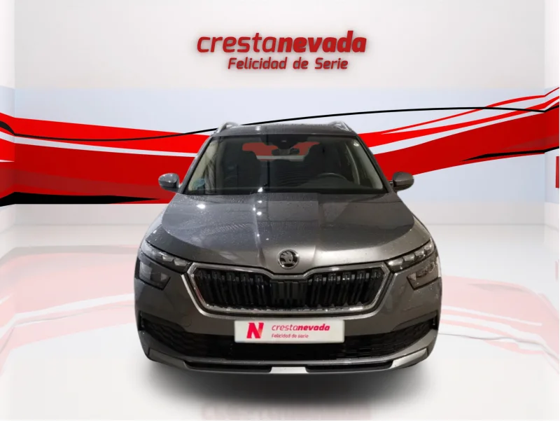 Imagen de Skoda Kamiq