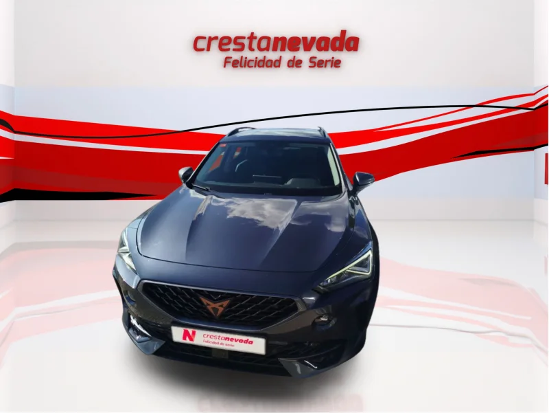 Imagen de cupra Formentor