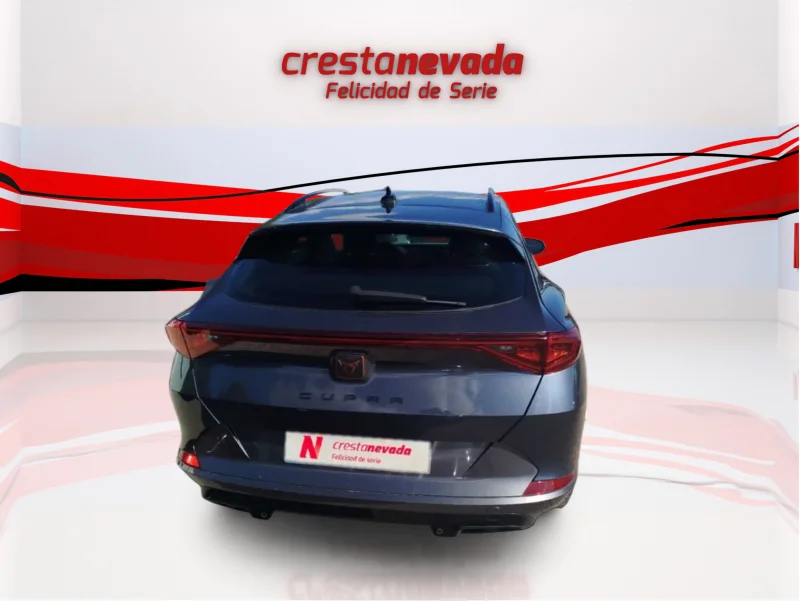 Imagen de cupra Formentor