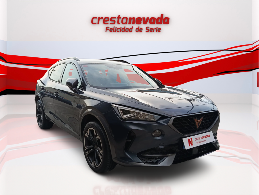 Imagen de cupra Formentor