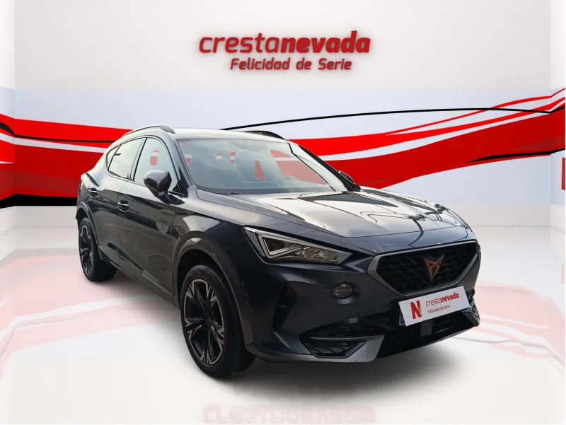 Imagen de cupra Formentor