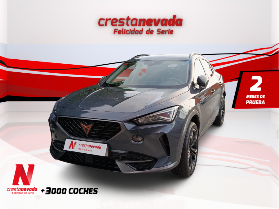 Imagen de cupra Formentor