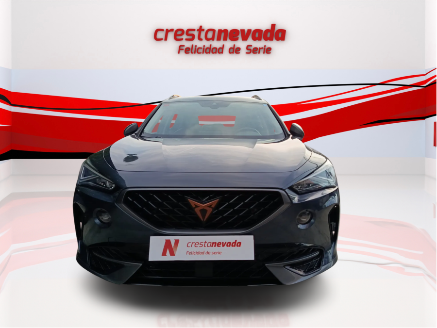 Imagen de cupra Formentor