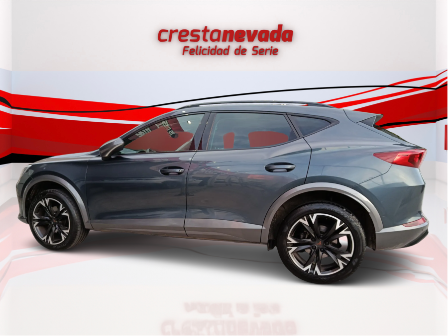 Imagen de cupra Formentor