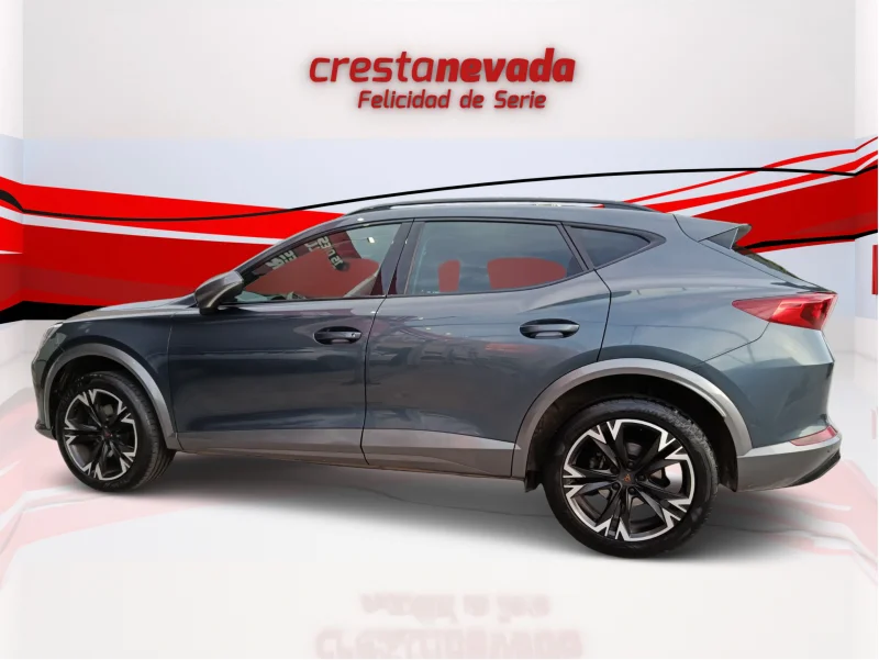 Imagen de cupra Formentor