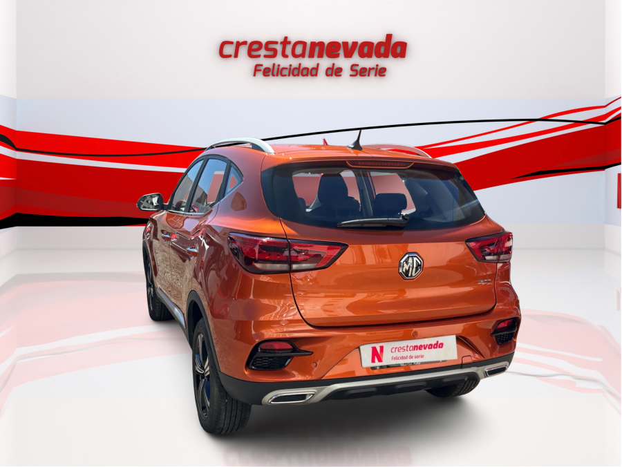 Imagen de Mg ZS