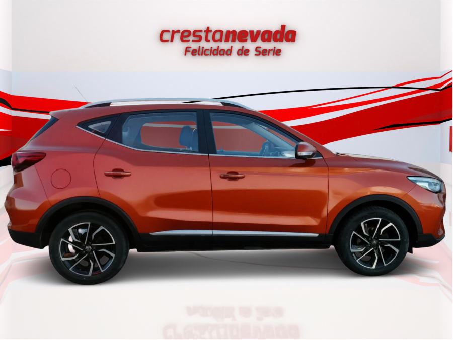 Imagen de Mg ZS