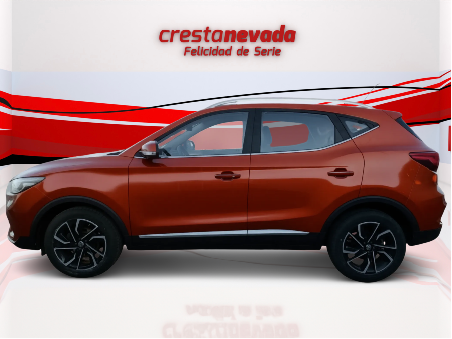 Imagen de Mg ZS