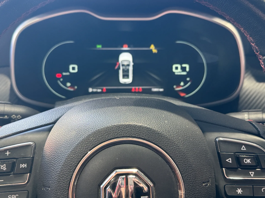 Imagen de Mg ZS