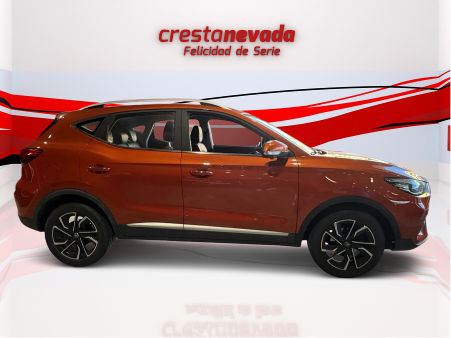 Imagen de Mg ZS