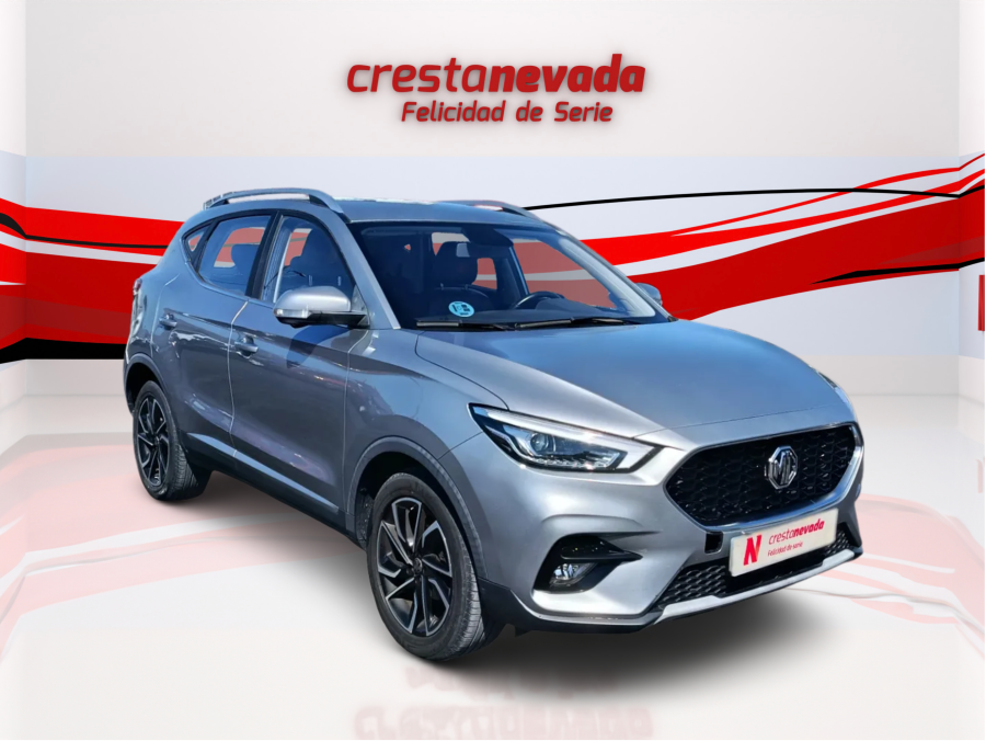 Imagen de Mg ZS