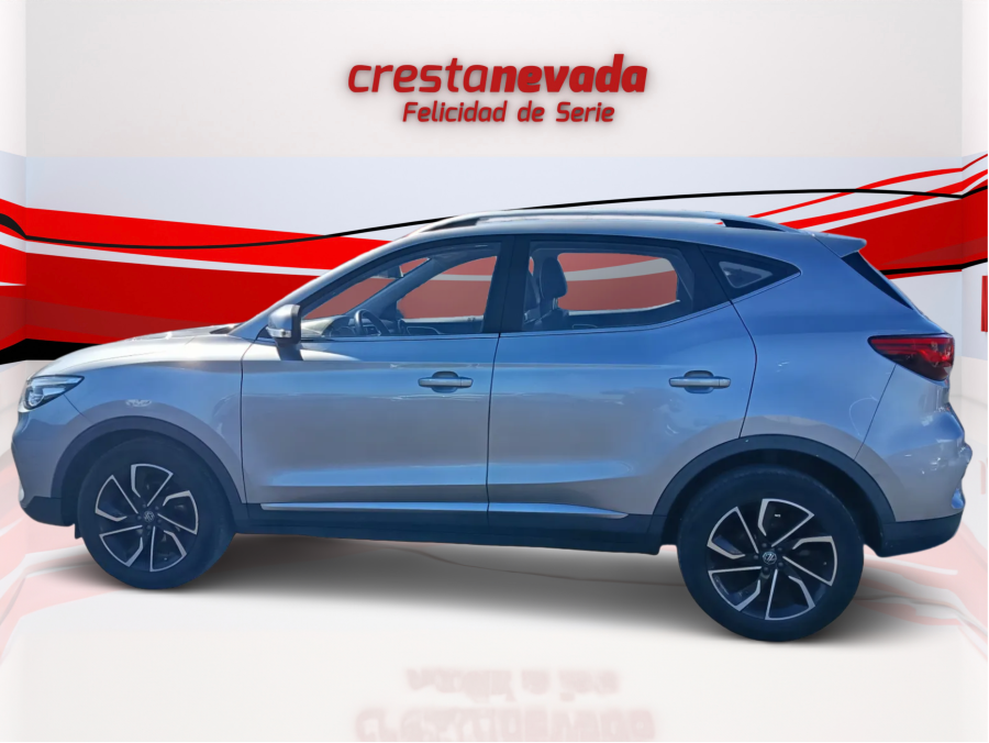 Imagen de Mg ZS