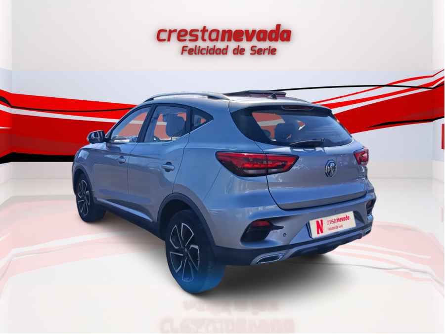 Imagen de Mg ZS