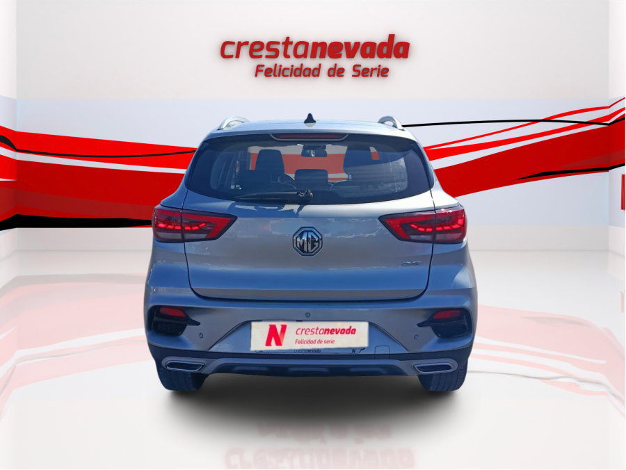 Imagen de Mg ZS