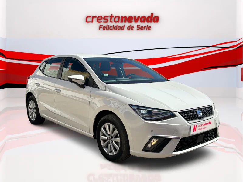 Imagen de SEAT Ibiza