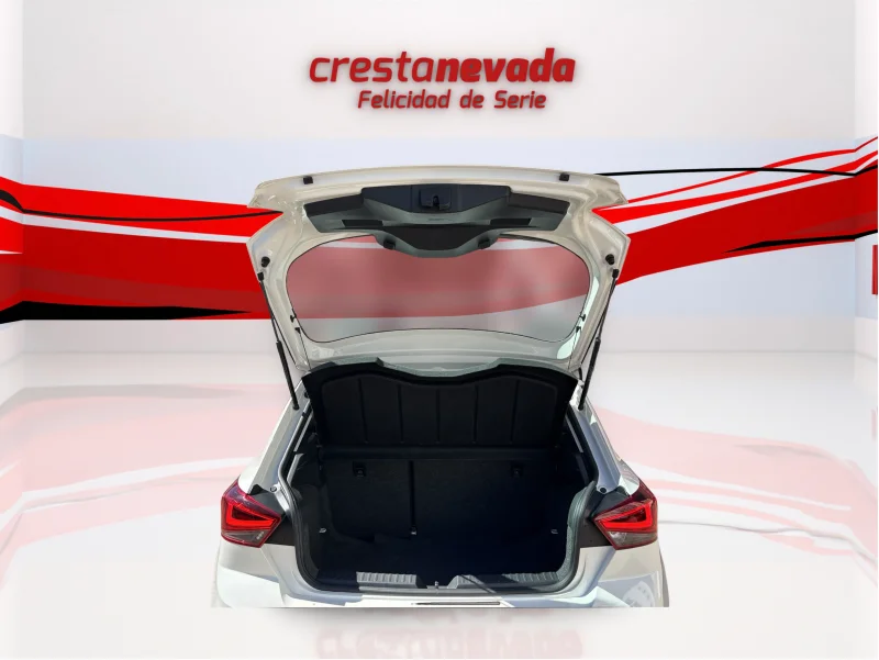 Imagen de SEAT Ibiza