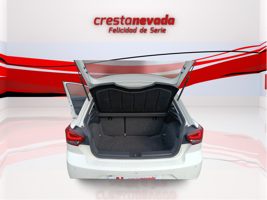 Imagen de SEAT Ibiza