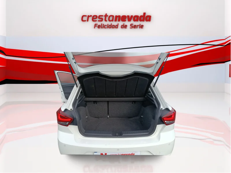 Imagen de SEAT Ibiza