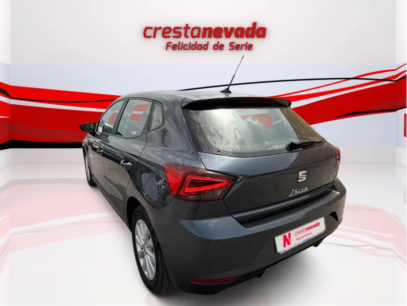 Imagen de SEAT Ibiza