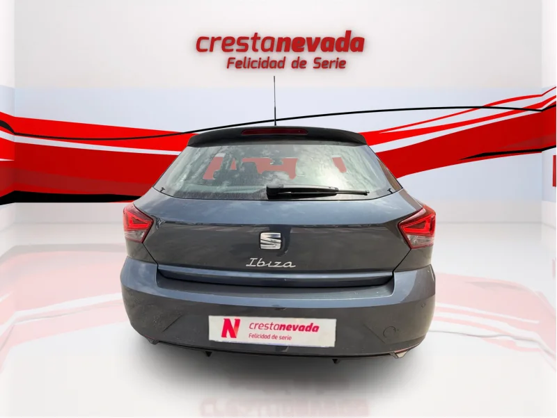 Imagen de SEAT Ibiza