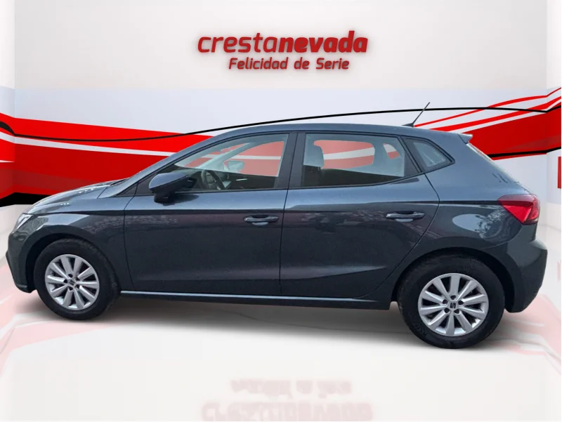 Imagen de SEAT Ibiza