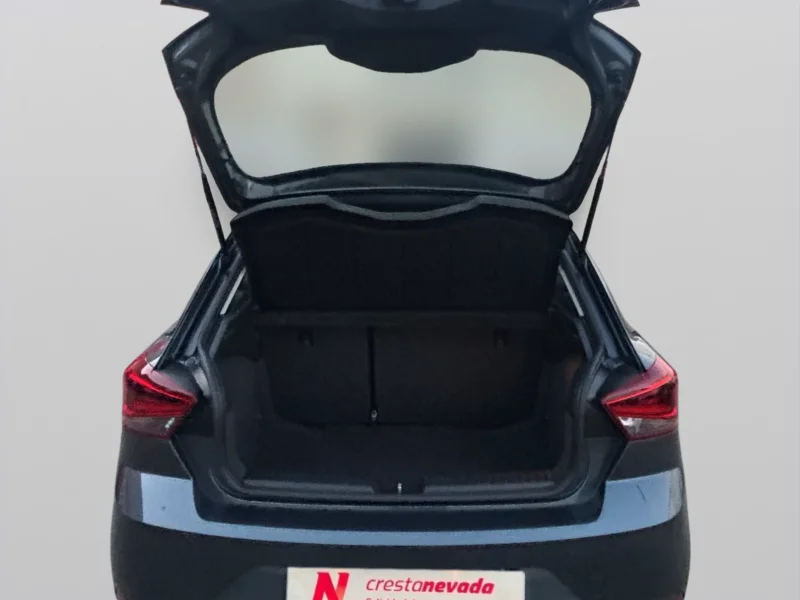 Imagen de SEAT Ibiza