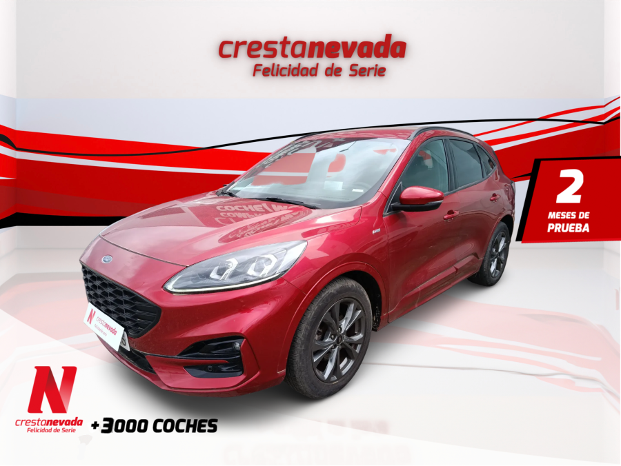 Imagen de Ford Kuga