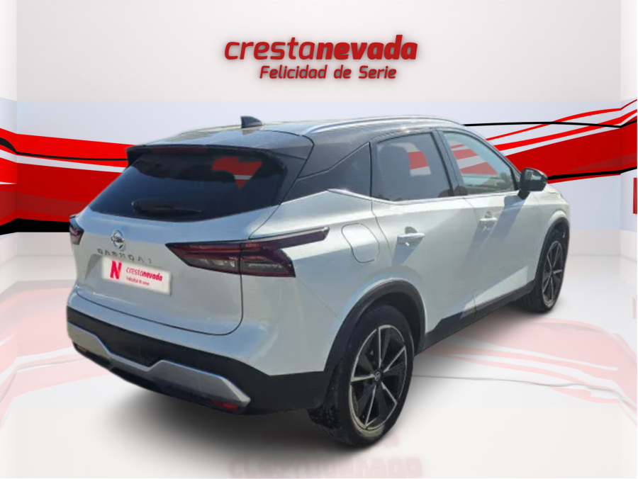 Imagen de NISSAN QASHQAI