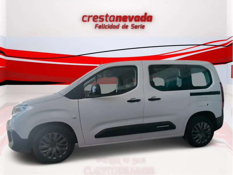 Imagen de CITROEN Berlingo