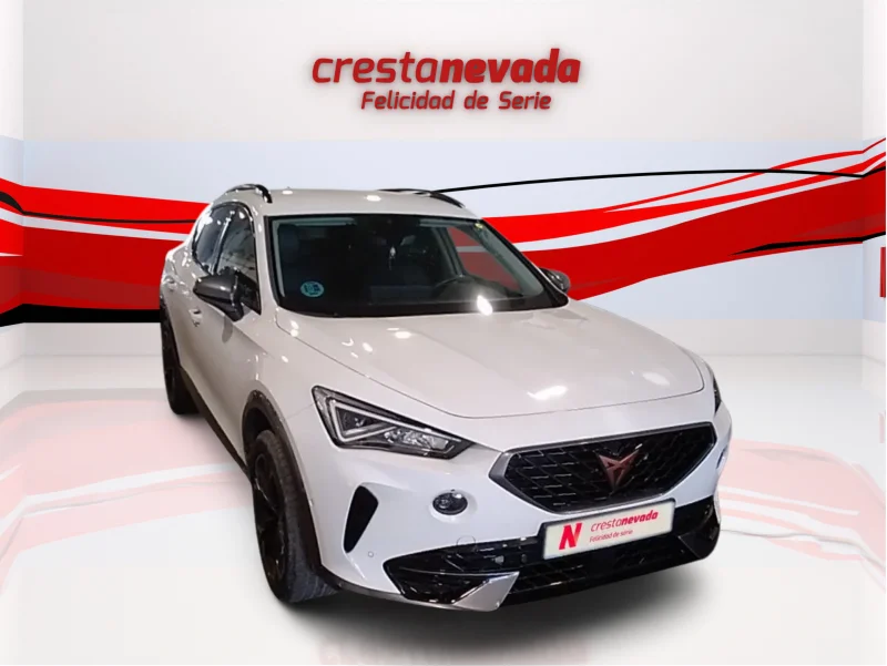 Imagen de cupra Formentor