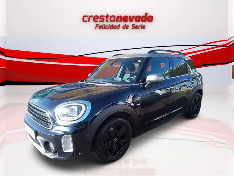 Imagen de Mini Countryman