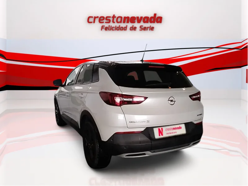 Imagen de Opel Grandland X