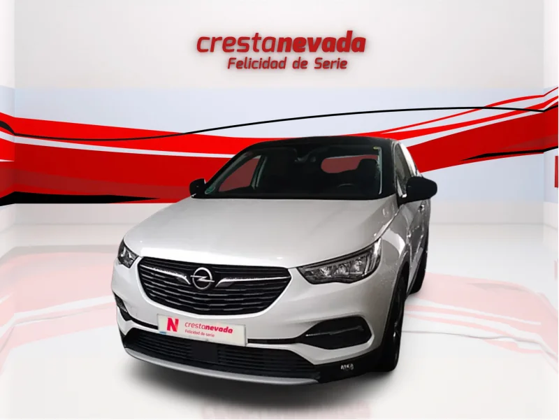 Imagen de Opel Grandland X