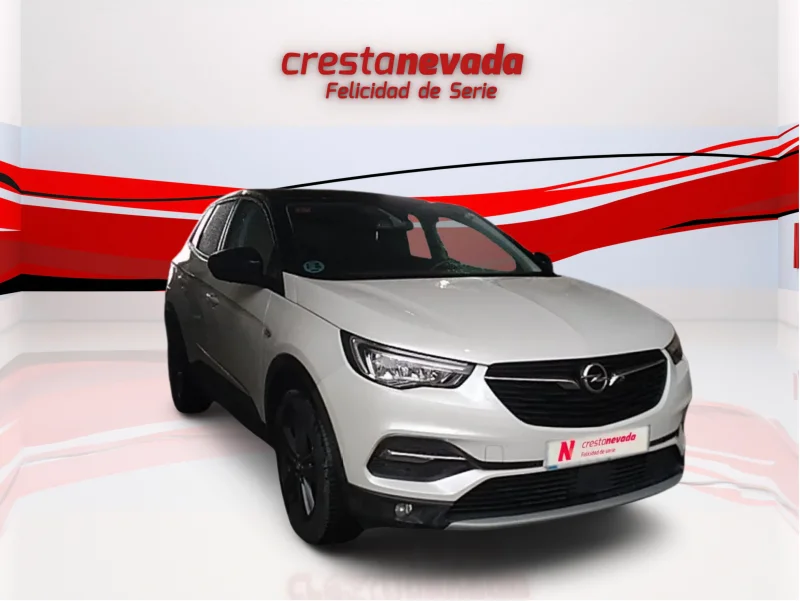 Imagen de Opel Grandland X