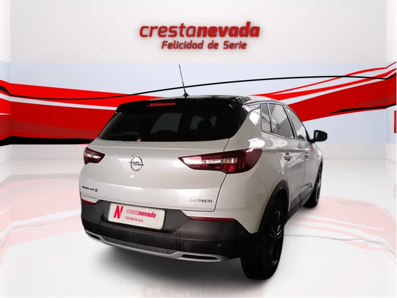 Imagen de Opel Grandland X