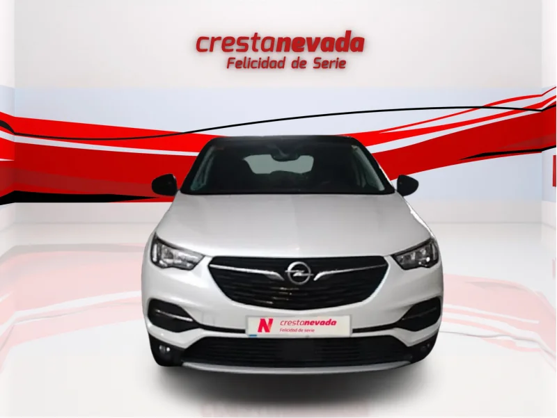 Imagen de Opel Grandland X