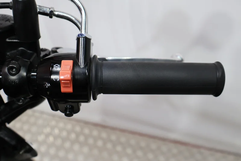 Imagen de KAWASAKI W800 CAFE