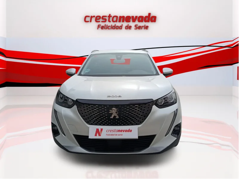 Imagen de Peugeot 2008